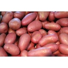 Pommes de terre vapeur rouge FILIÈRE QUALITÉ CARREFOUR - Carrefour Market à Vaulx-en-Velin Pommes de terre vapeur rouge FILIÈRE QUALITÉ CARREFOUR en promo chez Carrefour Market Vaulx-en-Velin à 2,49 €