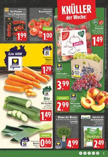 Äpfel im EDEKA Prospekt "Aktuelle Angebote" mit 24 Seiten (Duisburg)