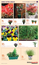 Promos Jardinière dans le catalogue "Intermarché" de Intermarché Hyper Jardinière en promo dans le catalogue Intermarché Hyper à la page 5