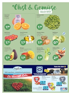 Kartoffeln im aktuellen V-Markt Prospekt (Regensburg) Kartoffeln im V-Markt Prospekt "V-Markt einfach besser einkaufen" mit 26 Seiten (Regensburg)