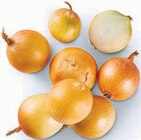 Speisezwiebeln bei Markant Nordwest im Delbrück Prospekt für 0,99 €