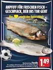 Rotfleischige Forelle im Angebot bei E center in Borken Rotfleischige Forelle Angebote bei E center Borken für 1,49 €