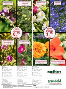 Heilkräuter im Garten-Center Nordharz GmbH & Co. KG Prospekt "NOCH BLUMIGER GEHT NICHT!" mit 12 Seiten (Hannover)