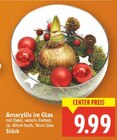 Amaryllis im Glas Angebote bei E center Falkensee für 9,99 €