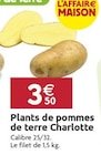 Promo Plants de pommes de terre Charlotte à 3,50 € dans le catalogue LaMaison.fr à La Guerche-de-Bretagne