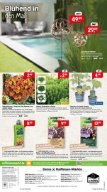 Aktueller Raiffeisenmarkt Prospekt mit Balkonpflanzen, "Für eine grüne Oase und gemütliche Pausen", Seite 4