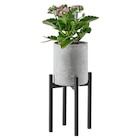 PFLANZENTOPF 9,5/25,5 cm Grau, Schwarz von Ambia Home im aktuellen XXXLutz Prospekt für 6,99 €