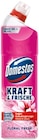 Kraft & Frische WC-Gel von Domestos im aktuellen Netto mit dem Scottie Prospekt