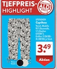 Caprihose von UP2FASHION im aktuellen ALDI SÜD Prospekt für 3,49 €