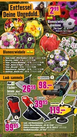 Ähnliche Angebote wie Picknickdecke im Prospekt "Wir sagen Danke." auf Seite 27 von Hornbach in Dortmund