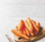 Carotte à U Express dans Montescot