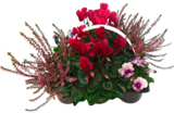 Heidegarten Mix oder Gemischter Herbststrauß Angebote bei E center Leonberg für 5,99 €