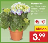 Hortensien Angebote bei Netto Marken-Discount Herten für 3,99 €