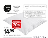 Aktuelles 3-Kammer-Kissen Ilu Angebot bei XXXLutz Möbelhäuser in Aachen ab 14,99 €
