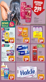 Ähnliche Coffein-Shampoo Angebote im Prospekt "Dein Markt" von REWE Ähnliches Angebot bei REWE in Prospekt "Dein Markt" gefunden auf Seite 14