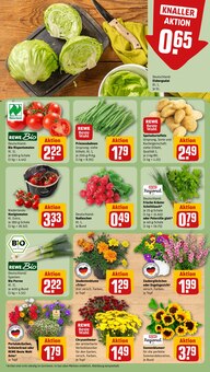 Kartoffeln im aktuellen REWE Prospekt (Bergisch Gladbach) Kartoffeln im REWE Prospekt "Dein Markt" mit 16 Seiten (Bergisch Gladbach)