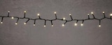 LED Lichterkette Premium im Globus-Baumarkt Prospekt LED Lichterkette Premium von im aktuellen Globus-Baumarkt Prospekt für 12,00 €