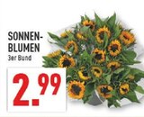 Sonnenblumen im Angebot bei Marktkauf in Solingen Sonnenblumen Angebote bei Marktkauf Solingen für 2,99 €