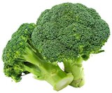 Bio Broccoli Angebote von REWE bei REWE Weiden für 1,59 €