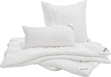Kopfkissen bei XXXLutz Möbelhäuser in Heidenheim Kopfkissen im Angebot bei XXXLutz Möbelhäuser Heidenheim für 19,99 €