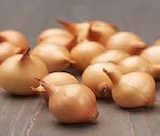 Rural Master Loudéac - Promo Oignons stuttgarter 500 g Promo Oignons stuttgarter 500 g à 2,90 € dans le catalogue Rural Master à Loudéac