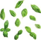 Taleggio DOP von ITALIAMO im aktuellen Lidl Prospekt für 2,99 €