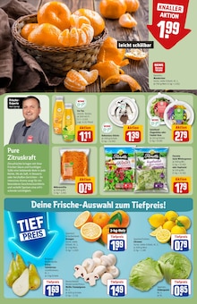 Pilze im REWE Prospekt "Dein Markt" mit 32 Seiten (Nürnberg)