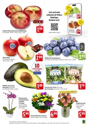 Aktueller EDEKA Prospekt mit Blumen, "Aktuelle Angebote", Seite 3