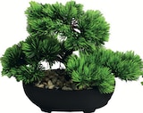 Deko-Bonsai Angebote bei Zimmermann Wolfsburg für 6,99 €