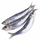 Sardine en promo chez Supermarchés Match Dunkerque à 6,99 €