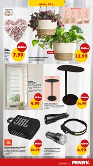 Blumentopf im Penny Prospekt "Wer günstig will, muss Penny." mit 46 Seiten (Kassel)