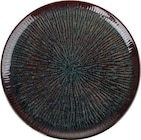 Assiette plate porcelaine & email réactif dans le catalogue Maxi Bazar