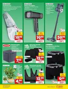 Zimmerpflanzen im Netto Marken-Discount Prospekt "Aktuelle Angebote" mit 74 Seiten (Nürnberg)