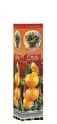 Ficus carica im Angebot bei Lidl in Koblenz Ficus carica Angebote von Quality bei Lidl Koblenz für 2,99 €