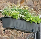 Hagebaumarkt Leck - Bewässerungsblumenkasten „Aqua Green“ Angebot im Prospekt Bewässerungsblumenkasten „Aqua Green“ bei Hagebaumarkt im Leck Prospekt für 6,99 €