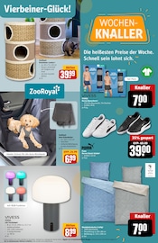 Schlafzimmer im REWE Prospekt in Suhl Aktueller REWE Prospekt mit Schlafzimmer, "Dein Markt", Seite 33