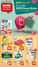 Aktueller REWE Discounter Prospekt in Markt Indersdorf und Umgebung, "Dein Markt" mit 30 Seiten, 13.10.2025 - 18.10.2025
