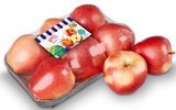 Deutsche rote Äpfel bei Penny-Markt im Senftenberg Prospekt für 1,69 €
