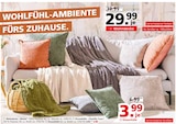 Wohndecke oder Kissenhülle von  im aktuellen Segmüller Prospekt für 3,99 €