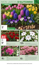 Promos Plantes dans le catalogue "JARDIN" de Carrefour Plantes en promo dans le catalogue Carrefour à la page 4
