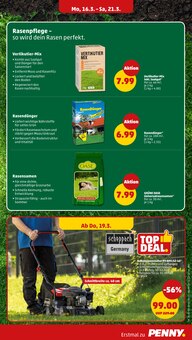 Rasenmäher im Penny Prospekt "Wer günstig will, muss Penny." mit 49 Seiten (Potsdam)