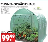 Tunnel-Gewächshaus Angebote von Top Flora bei Wreesmann Stendal für 99,99 €