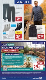 Herrenmode im ALDI Nord Prospekt in Cottbus Aktueller ALDI Nord Prospekt mit Herrenmode, "Aktuelle Angebote", Seite 31