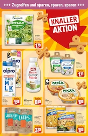 Pasta im REWE Prospekt in Frankfurt Aktueller REWE Prospekt mit Pasta, "Dein Markt", Seite 14