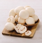 Promo Champignon blanc de Paris gros à farcir pied coupé(2) à 3,99 € dans le catalogue U Express à Pont-Saint-Esprit
