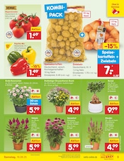 Mixer im Netto Marken-Discount Prospekt in Wolfenbüttel Aktueller Netto Marken-Discount Prospekt mit Mixer, "Aktuelle Angebote", Seite 5
