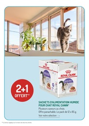Offre Alimentation Chat dans le catalogue Botanic du moment à la page 11