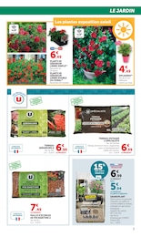 Offre Fleurs dans le catalogue Super U du moment à la page 3