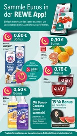 Milch im REWE Prospekt in Castrop-Rauxel Aktueller REWE Prospekt mit Milch, "Dein Markt", Seite 2