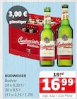 Budvar Angebote von Budweiser bei Getränke Quelle Weydringer Göttingen für 16,99 €